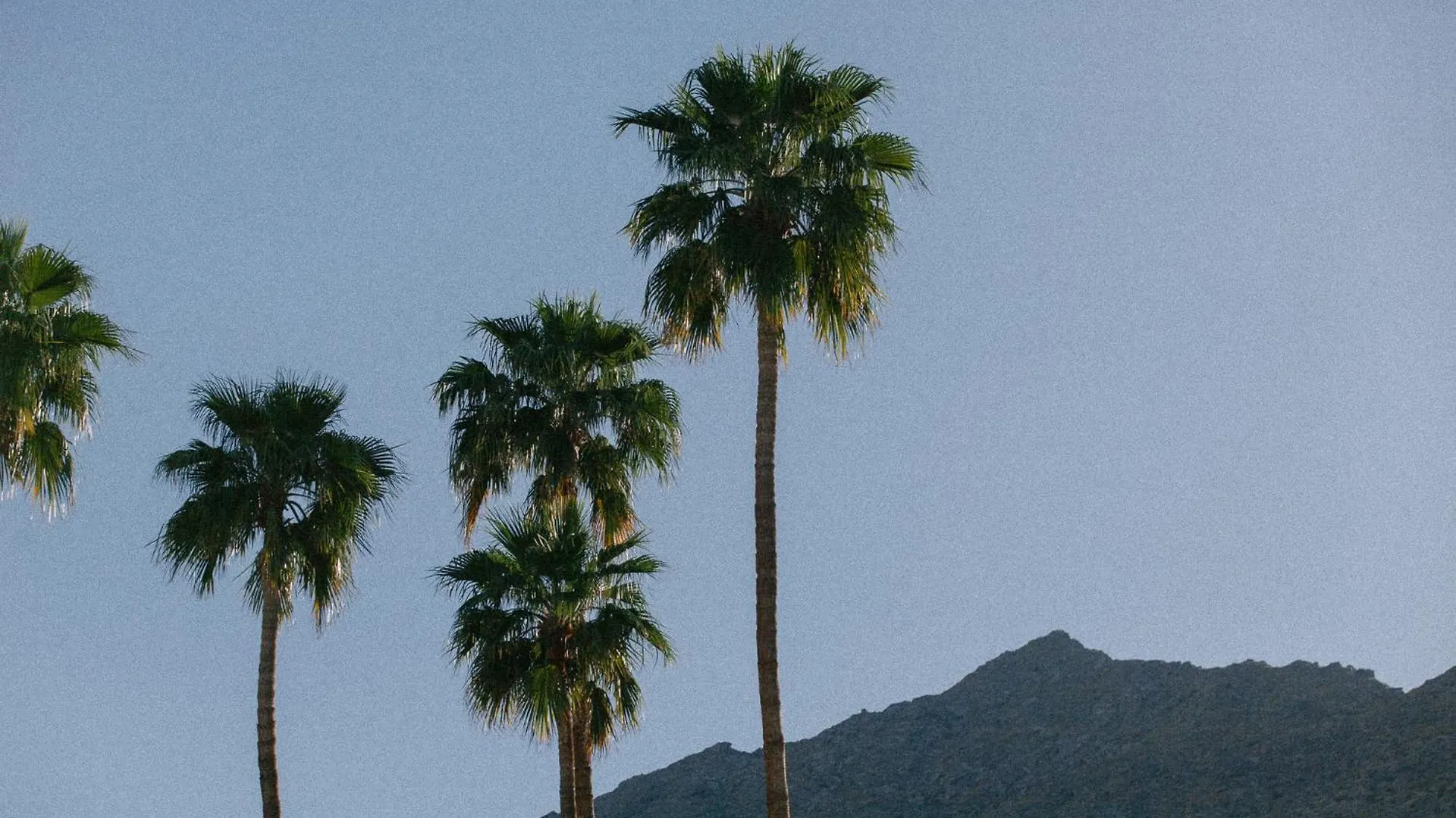 Yara Hotel - Adults Only Palm Springs 3*,  United States